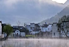 2024深圳嫩茶wx，开启新茶时光之旅！